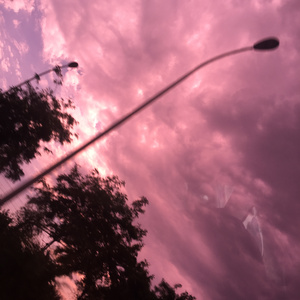 老婆去农场给马当媳妇
