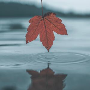 老婆去农场给马当媳妇
