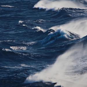 老婆去农场给马当媳妇
